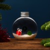 Baby Marimo de Noël | Édition Spéciale de Noël » Clo’eT Design