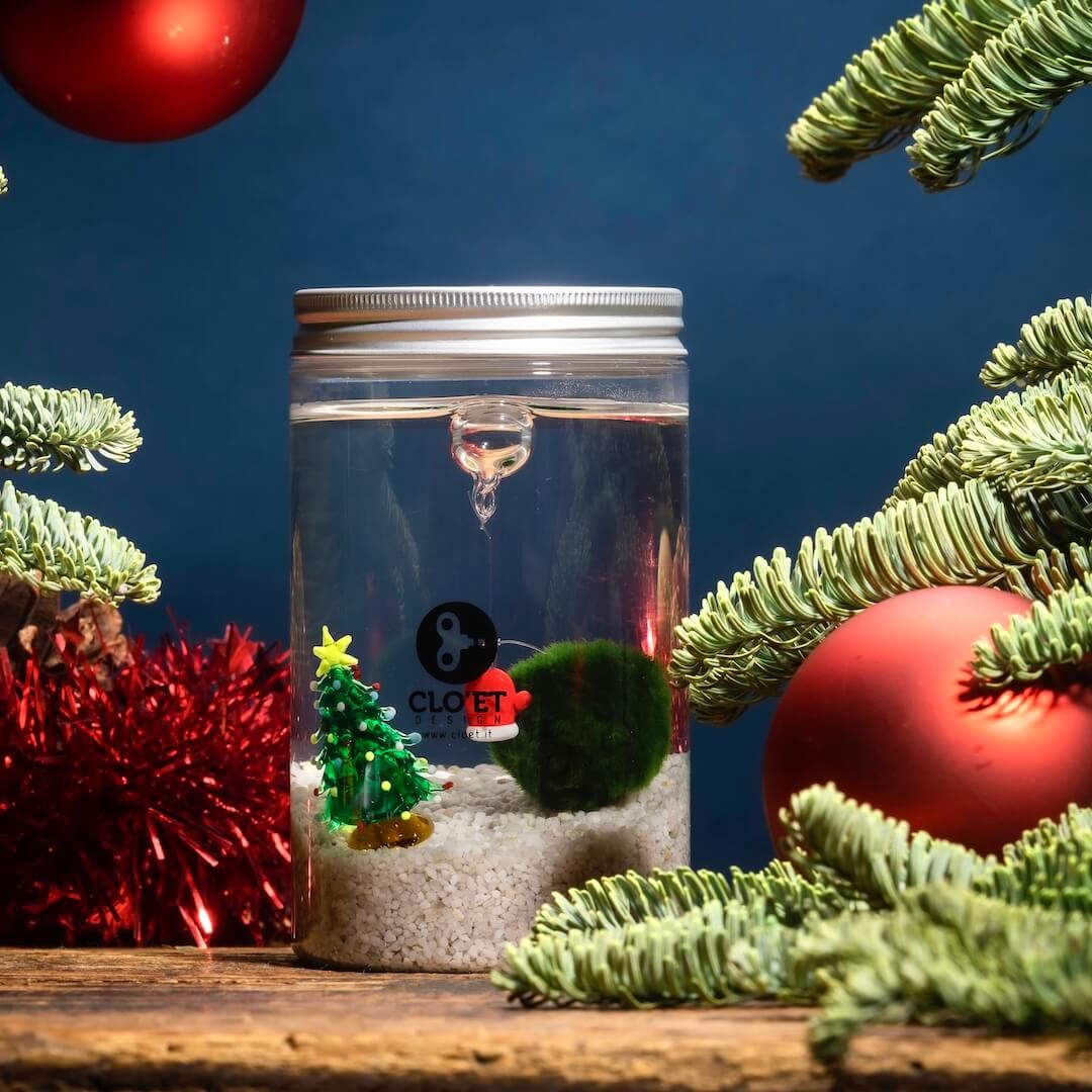 Marimo 10 Jahre Natalino | Weihnachtsspecial » Clo’eT Design