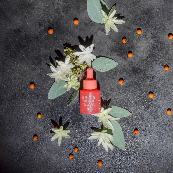 Nebula - Parfum Ozio 20 ml » Clo'eT Design