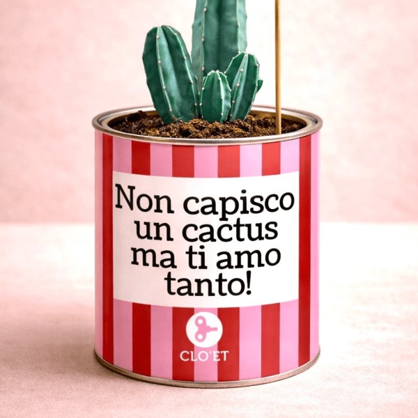 "I don't understand a cactus but I love you so much - Valentine's Day" » Clo'eT
