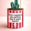 "I don't understand a cactus but I love you so much - Valentine's Day" » Clo'eT