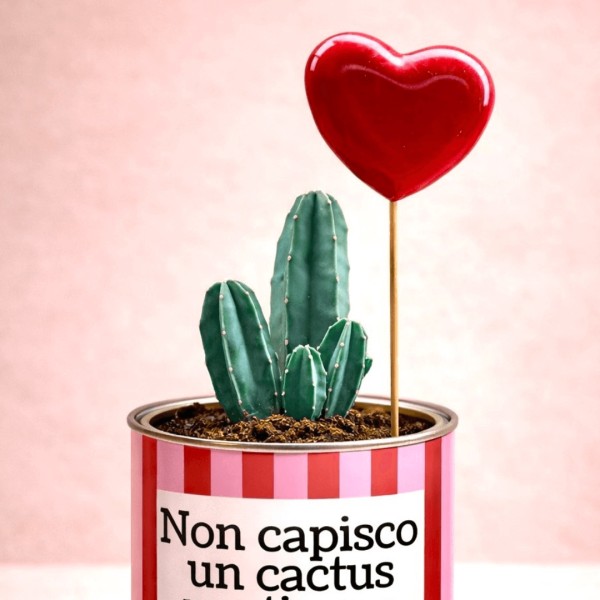 "I don't understand a cactus but I love you so much - Valentine's Day" » Clo'eT