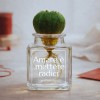Aimer, c'est s'enraciner - idée cadeau Saint-Valentin » Clo'eT