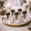 Loving is putting down roots - Valentine's Day gift idea » Clo'eT
