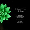 Luciola - l'echeveria qui s'illumine » Clo'eT