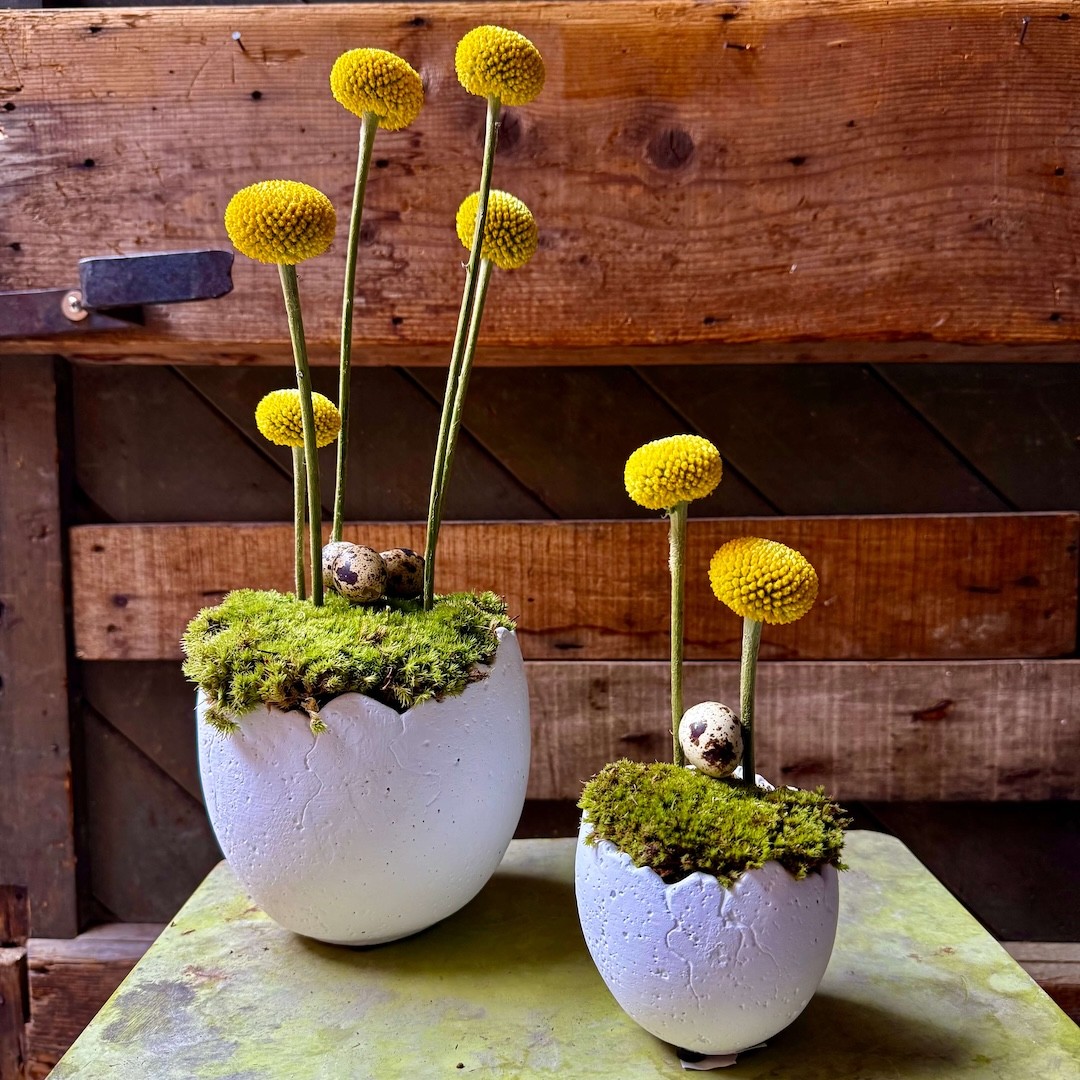 Terracotta Easter egg with moss and dried flowers » Clo'eT