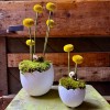 Terrakotta-Osterei mit Moos und Trockenblumen » Clo'eT