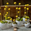 Terracotta Easter egg with moss and dried flowers » Clo'eT