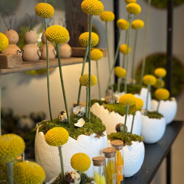 Terracotta Easter egg with moss and dried flowers » Clo'eT