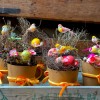 Frühlingnest: zartes Geschenkidee für Ostern und Dekorationen » Clo'eT