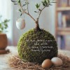 B612 - Bom Bom Olivenbaum + PIKA Bewässerungssystem: Design und Natur » Clo'eT