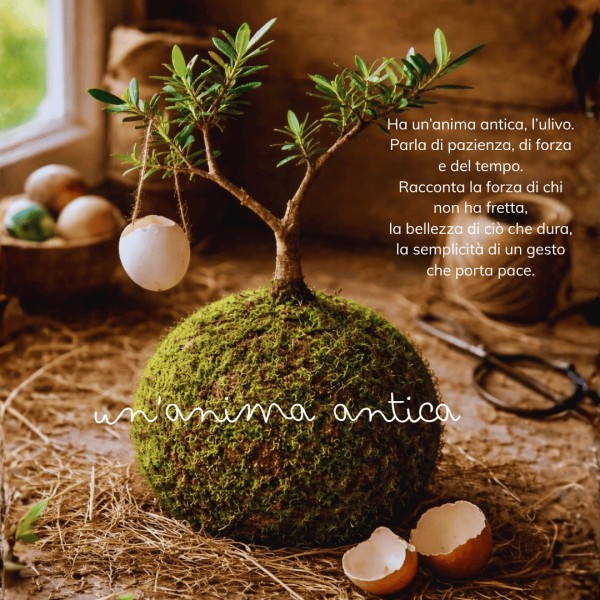 B612 - Bom Bom Ulivo + PIKA sprinkler: design and nature » Clo'eT