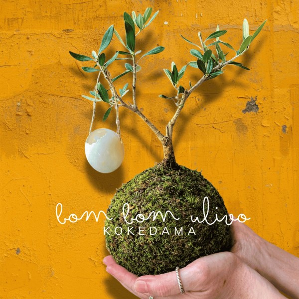B612 - Bom Bom Ulivo + PIKA sprinkler: design and nature » Clo'eT