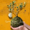 B612 - Bom Bom Ulivo + PIKA sprinkler: design and nature » Clo'eT