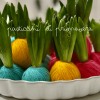 Spring PASTICCINO with Hyacinthus orientalis » Clo’eT Design
