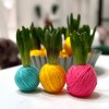 Spring PASTICCINO with Hyacinthus orientalis » Clo’eT Design