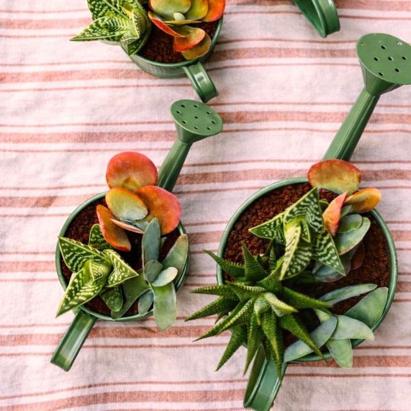 Watering Can Mom with Succulent Garden » Clo'eT Design