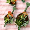 Watering Can Mom with Succulent Garden » Clo'eT Design