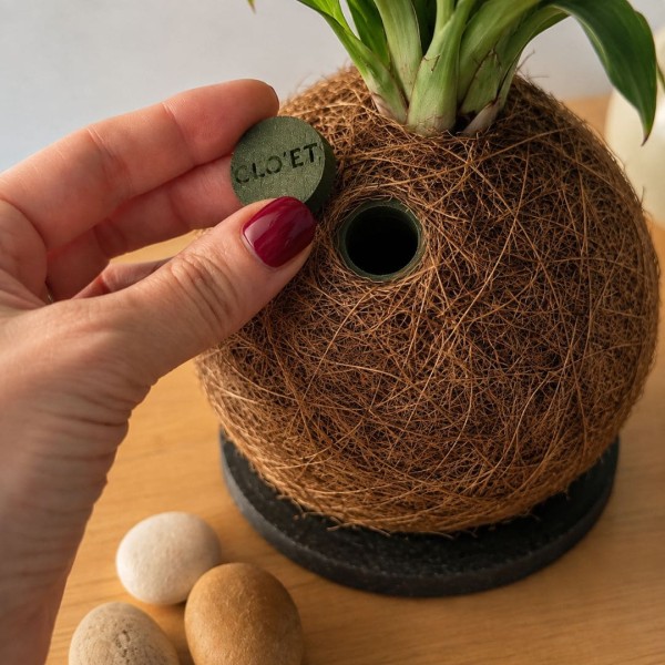 Kokedama VANIGLIA + PIKA irrigatore con Dracaena » Clo’eT Design