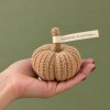 Zucca decorativa ZUCCOLA “Aspettando la carrozza…”  » Clo'eT Design