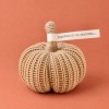 Zucca decorativa ZUCCOLA “Aspettando la carrozza…”  » Clo'eT Design