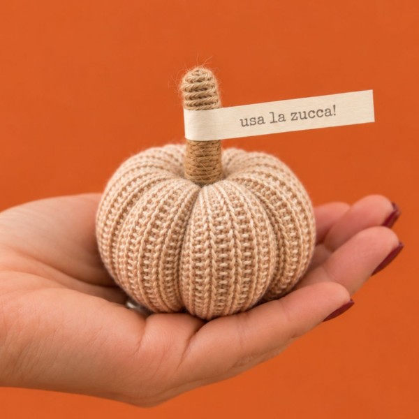 Zucca decorativa ZUCCOLA “Usa la zucca!” » Clo'eT Design