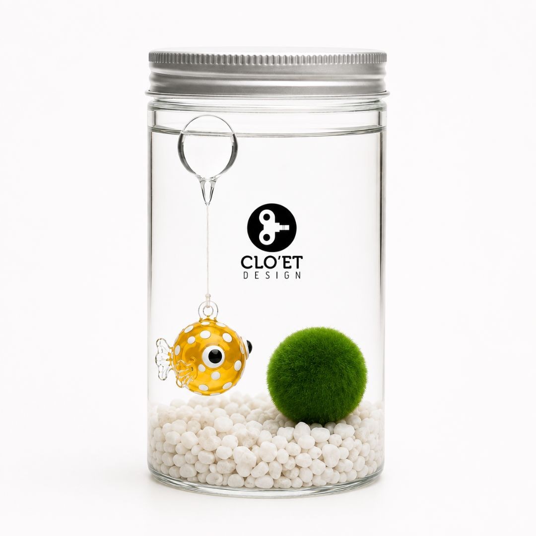 Marimo 10 Anni + Galleggiante | Un Amico che Fluttua con Te » Clo’eT Design