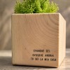 Botanical House Saffron » Clo'eT Design