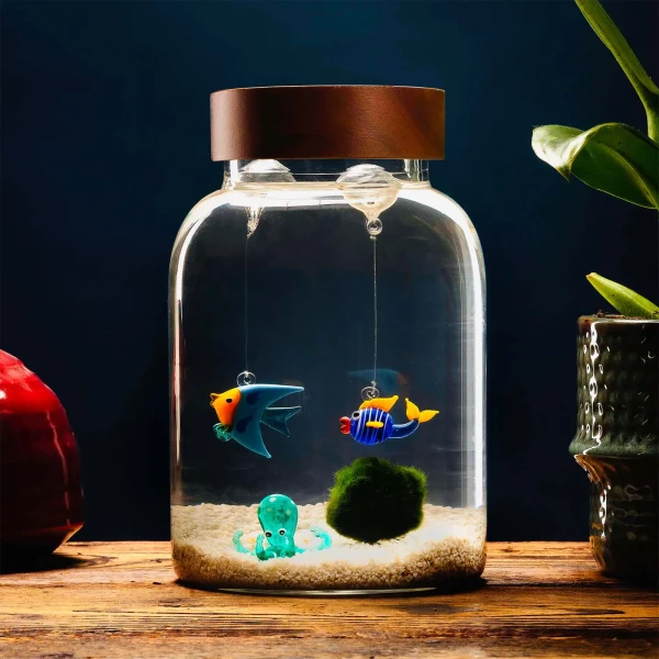 Aquarium 3 Elemente + Marimo 10 Jahre » Clo’eT Design
