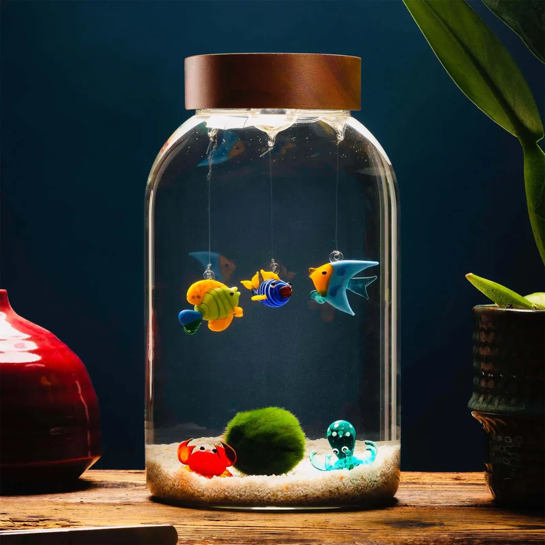 Aquarium 5 Elements + 20-Year-Old Marimo » Clo'eT Design
