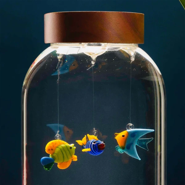 Aquarium 5 Elements + 20-Year-Old Marimo » Clo'eT Design