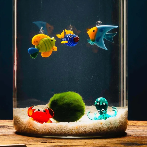 Aquarium 5 Elemente + Marimo 20 Jahre » Clo’eT Design