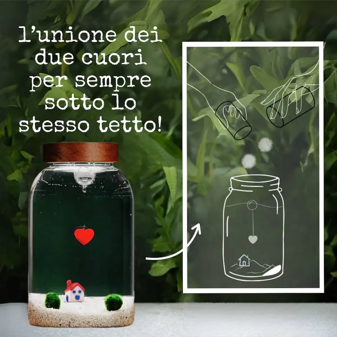 Aquarium Wedding Ritual + 2 Marimo 10 Years » Clo’eT Design