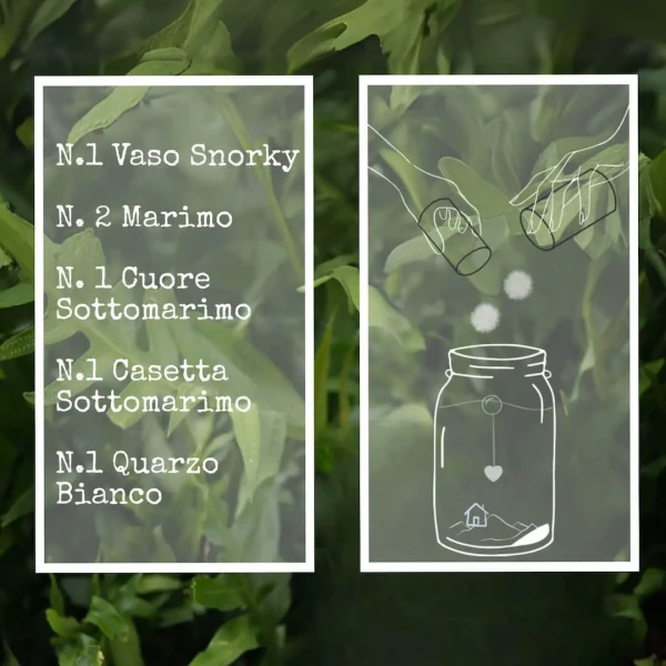 Aquarium Rite du Mariage + 2 Marimo 10 Ans » Clo’eT Design