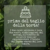 Aquarium Wedding Ritual + 2 Marimo 10 Years » Clo’eT Design
