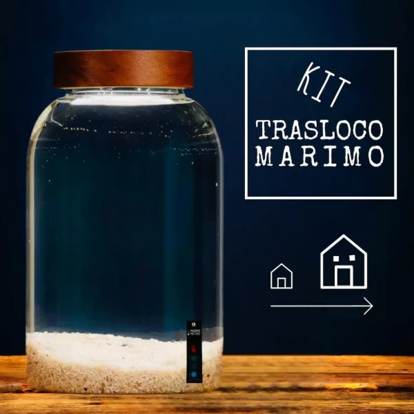 Marimo Moving Kit: Accessories for a More Spacious Habitat » Clo’eT Design