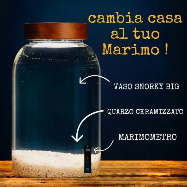 Marimo Moving Kit: Accessories for a More Spacious Habitat » Clo’eT Design