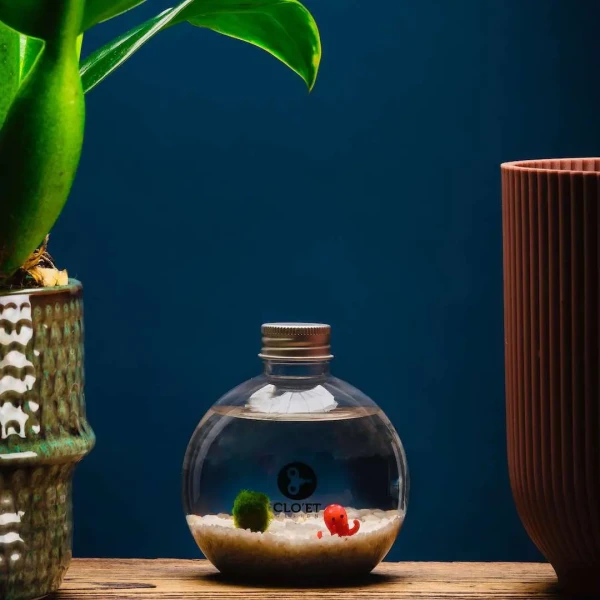 BUBY le petit poulpe - Sous-marin en verre soufflé » Clo’eT Design