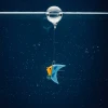 OLIVER - Sous-marin » Clo’eT Design