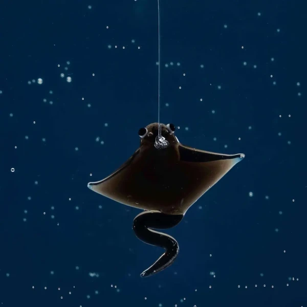 MARTINO the Manatee - Submarine » Clo’eT Design