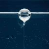 ALEXANDER - Submarine » Clo’eT Design