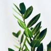 Kokedama HAPPY JUNGLE + PIKA mit Zamioculcas zamiifolia » Clo’eT Design