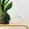 Kokedama MOONLIGHT + PIKA with Sansevieria moonshine » Clo’eT Design