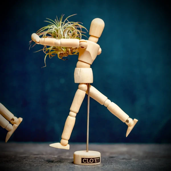 EQUILIBRIA mit Tillandsia lonantha » Clo’eT Design