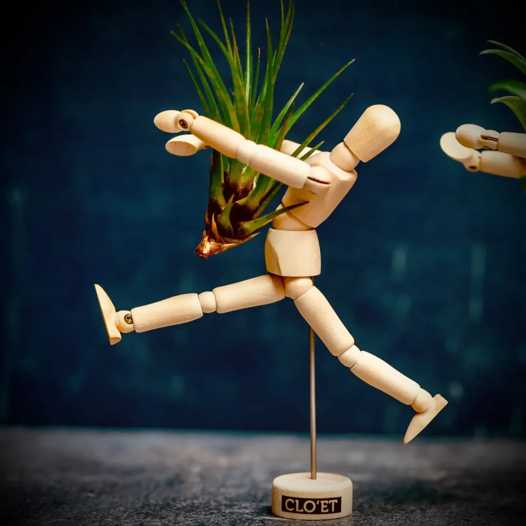 EQUILIBRIA mit Tillandsia lonantha » Clo’eT Design