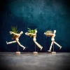 EQUILIBRIA mit Tillandsia lonantha » Clo’eT Design