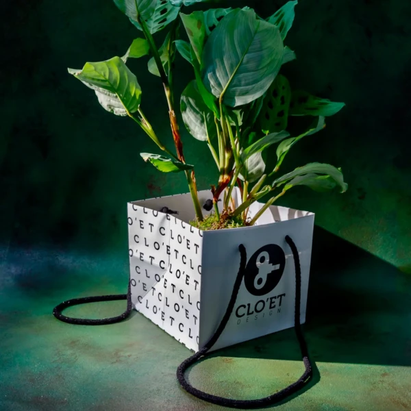 Shopper Kokedama » Clo’eT Design