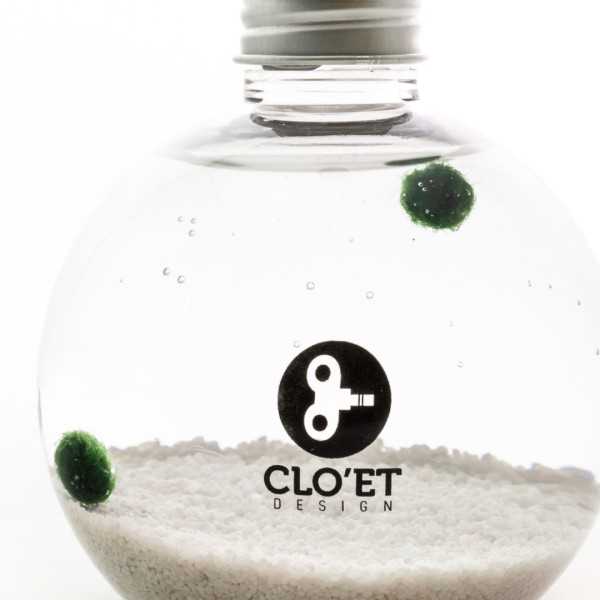 TOI & MOI – Marimo Inséparables | Symbole d'Amour et de Connexion » Clo’eT Des