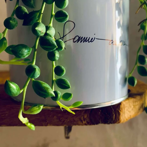 FAIS-MOI GRANDIR - COLLANA DI PERLES avec Senecio Herreianus » Clo’eT Design