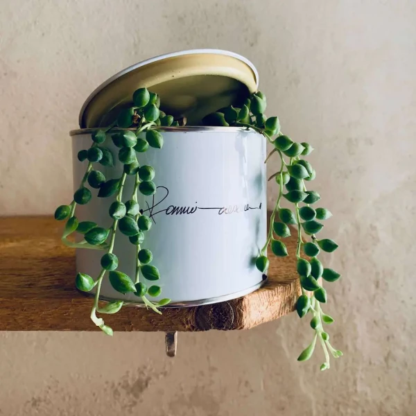 FAIS-MOI GRANDIR - COLLANA DI PERLES avec Senecio Herreianus » Clo’eT Design